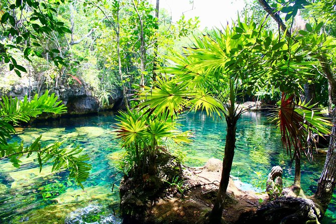 Tulaka Cenote Experience - Detailed Tour Information