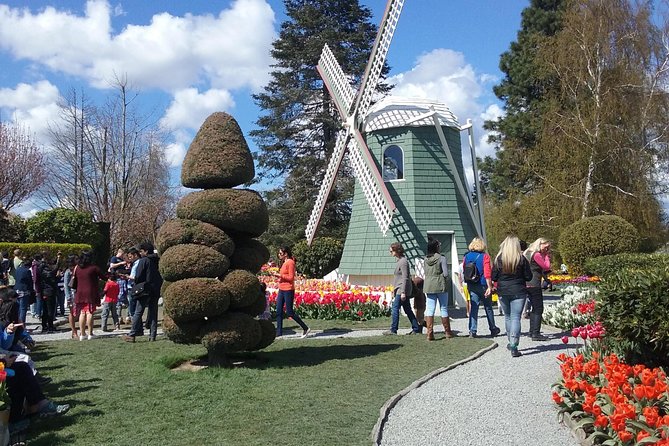 Tulip Festival and Skagit Valley Tour - Pickup and Accessibility
