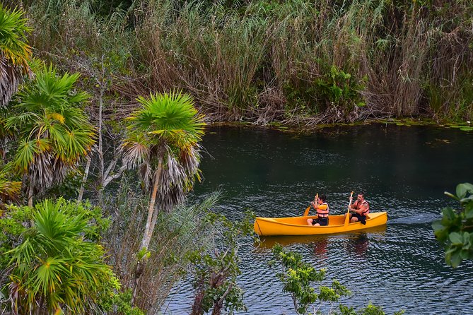 Tulum & Jungle Adventure Private Tour - Health and Safety Information