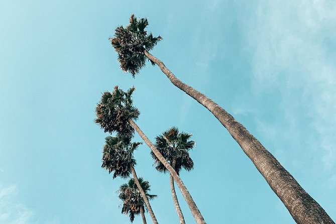 Ultimate Hollywood History Walking Tour Review - Iconic Sights and Experiences