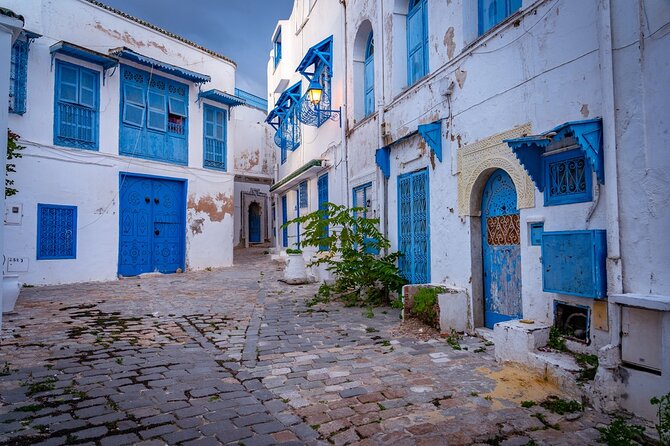 Unveiling the Beauty of Sidi Bou Said and Carthage Private Tour - Customer Testimonials