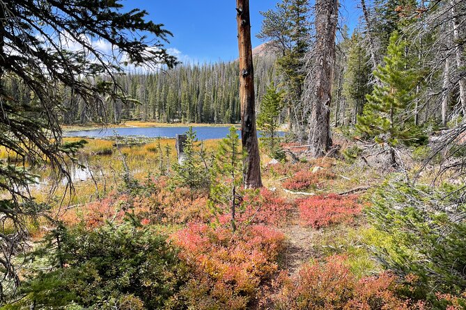 Utah Mountain Backcountry Day Trip Review - Dining and Refreshments
