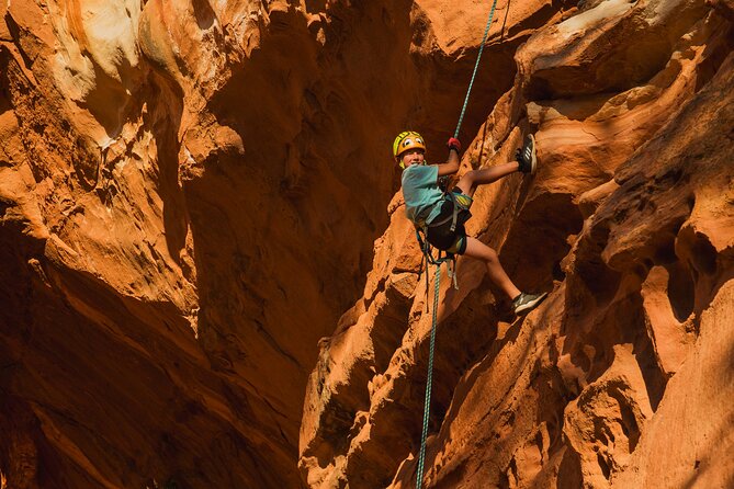 UTV Ride Climb and Rappel Window to the Dunes Experience - Traveler Reviews Highlights