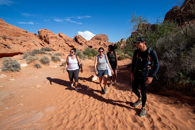 Valley of Fire Guided Hiking Tour and Mojave Desert Adventure - Health and Safety Considerations
