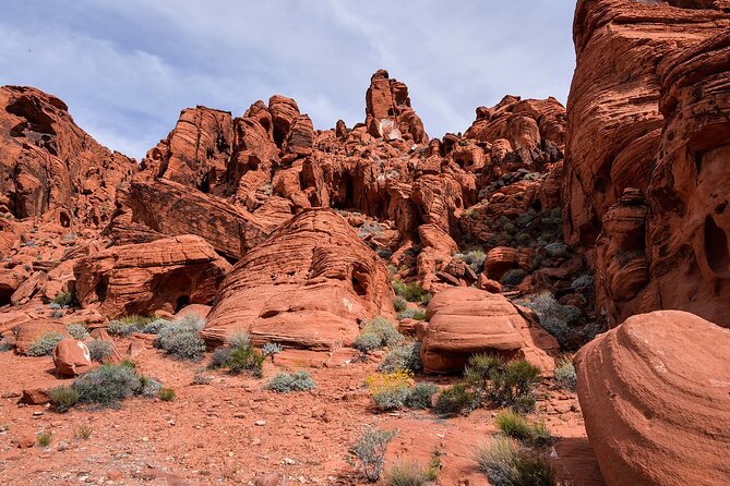 Valley of Fire & Hoover Dam Tour Review - Health and Safety Restrictions