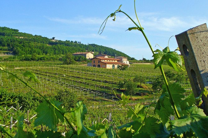 Venice-Verona Amarone Tour - Ask Away