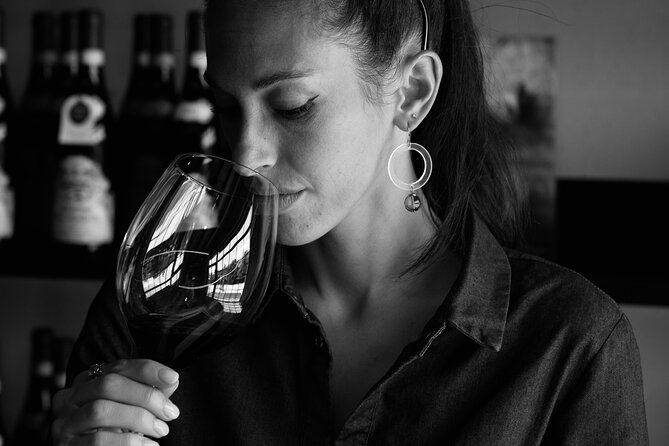 Verona Area: Private Wine Tour in Valpolicella - About the Winery and Region