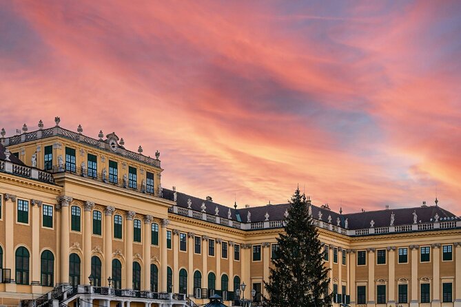 Vienna Private Full Day Tour With Tickets - Accessibility Information