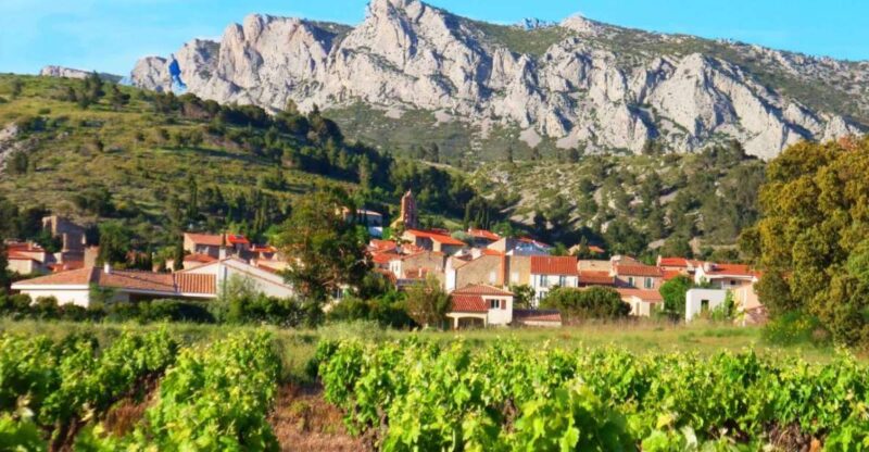 Vingrau : Wine Tasting - Customer Feedback and Reviews