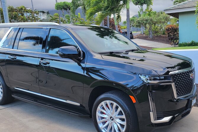 VIP Private Maui OGG Arrival Transfer Review - Personalized Experience
