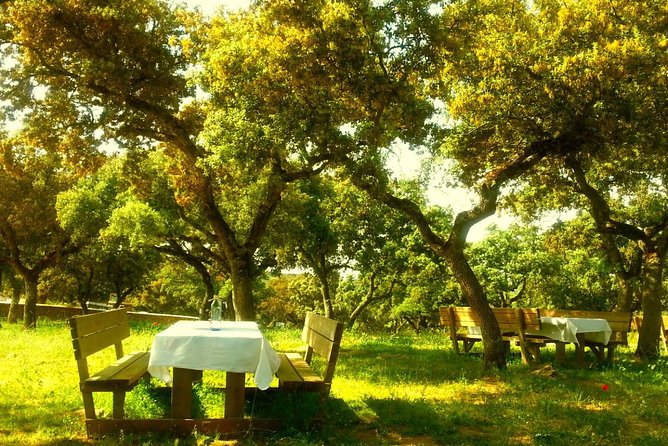Visit a Horse and Bull Farm Including a Ronda Tour - Preparing for the Experience