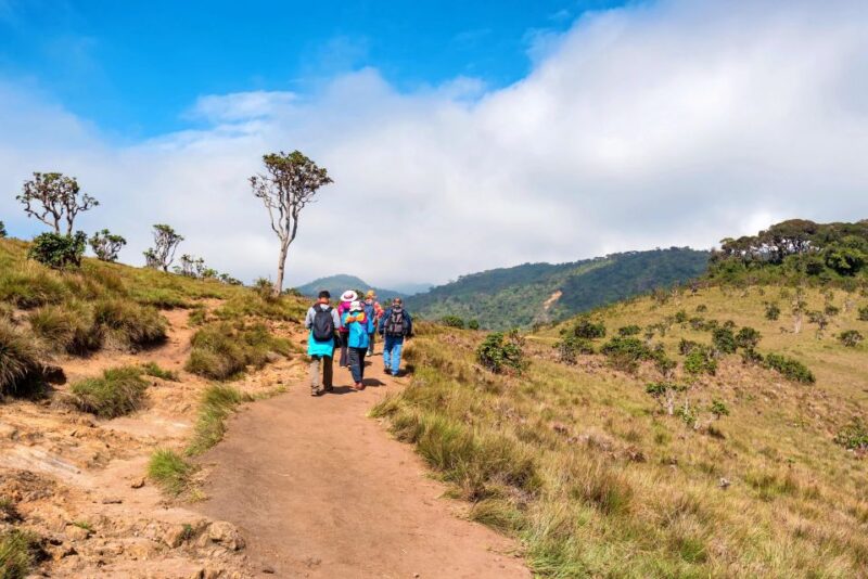 Visit Horton Plains and Nuwara Eliya From Kandy - Scenery and Landscapes