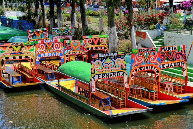Visit to Xochimilco, Coyoacán, and Ciudad Universitaria - Highlights of Ciudad Universitaria