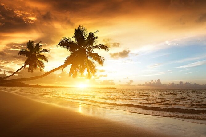 Vista Sol Punta - Round Trip Shuttle - Punta Cana Airport - Frequently Asked Questions