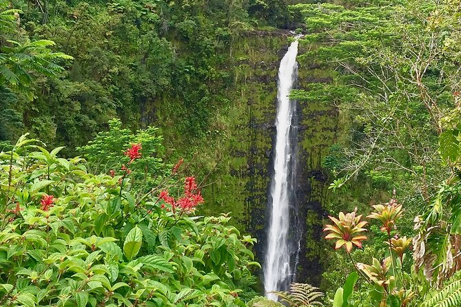 Volcanoes&Stargazing Exclusive Private Van Charter - Pricing and Booking Details