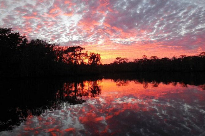 Waccamaw River Nature and Wildlife Tour - Customer Feedback and Ratings