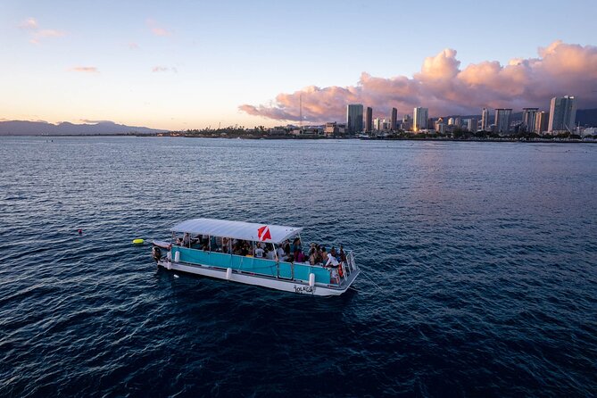Waikiki Whale Watching Cruise - Customer Reviews