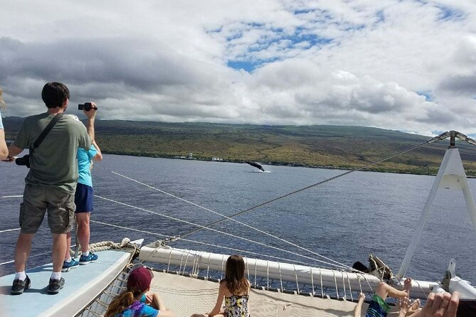 Wake up With the Whales Cruise From Kawaihae Harbor - Whale Watching Experience