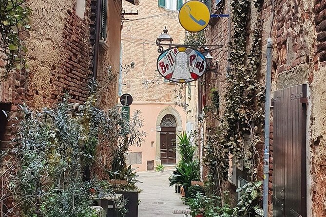 Walk in the Heart of Foiano Della Chiana and Its Surroundings - Importance of Transportation