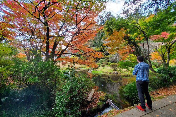 Walking Through the Aso Caldera, Historical Walk Along the Bungo Kaido - Taking in Local Culture and Traditions