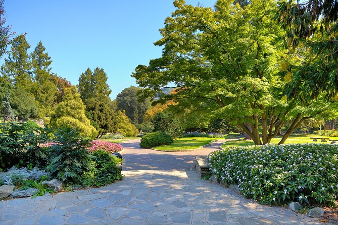 Walking Tour of Valentino Park - The Monumental Trees - Significance of the Parks Trees