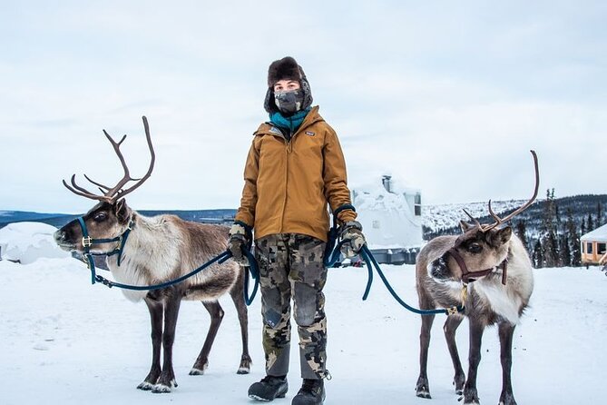Walking With Reindeer Experience Review - Frequently Asked Questions