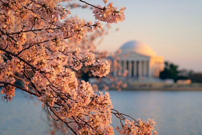 Washington D.C.& Philadelphia 2-Day Tour From New York City - Highlights of the Washington D.C. Portion