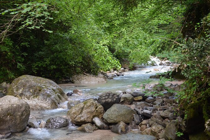Wayfarers Trail: Hike on Lake Como With Lunch - Experiencing the Trail
