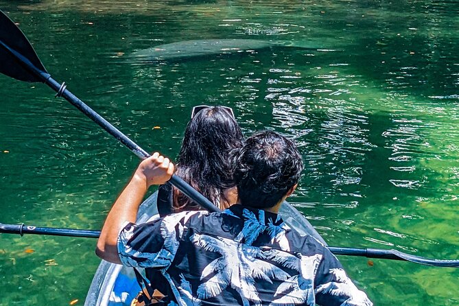 Weeki Wachee Clear Kayak Ecotours Manatee Season - November 14th-March 31st - Guest Feedback and Insights