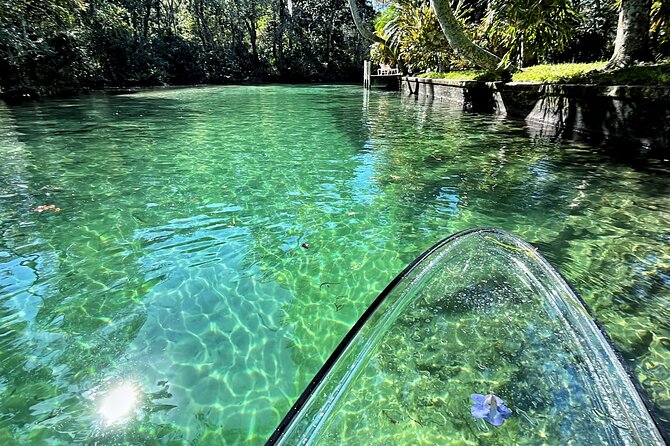Weeki Wachee Clear Paddle Board Ecotours - Pricing and Booking