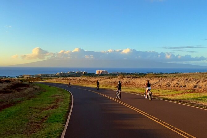 West Maui Ebike Island Explorer Full-Day Rental - Accessibility and Health Considerations