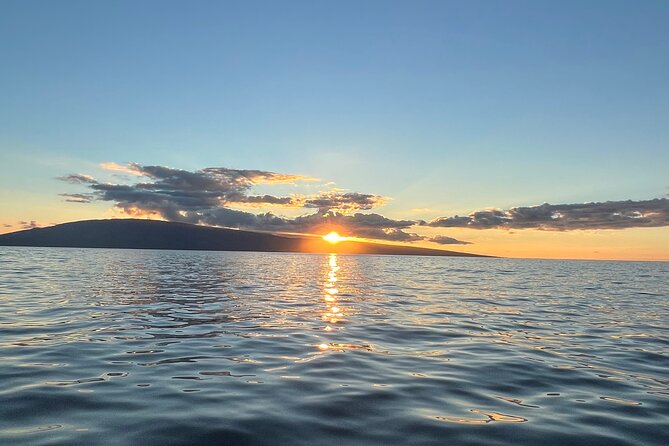 West Maui Sunset Whale Watch - Customer Feedback