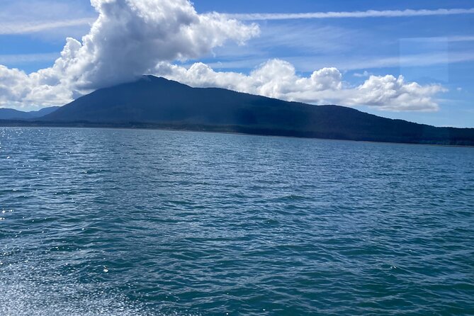 Whale Watching Adventure in Juneau - Highlights of the Tour