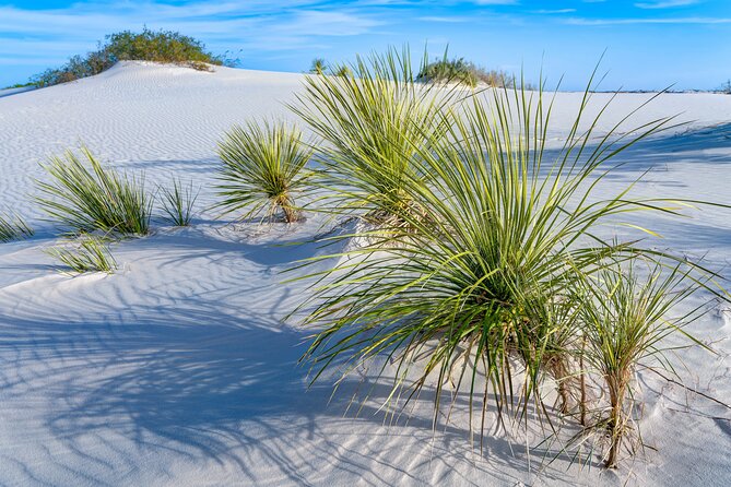 White Sands National Park Tour Review - Mobile App Setup and Navigation