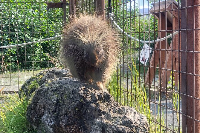 Wildlife Center With Lunch & Local Beer Sampling - Winter&Summer - Customer Service and Feedback
