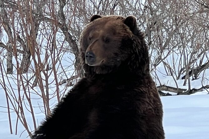 Wildlife Conservation Center and Portage Glacier Lake Viewing - Frequently Asked Questions