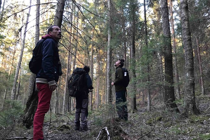 Wildlife Hiking in Stockholm With Animal Spotting - 2 Days - Health and Safety Considerations