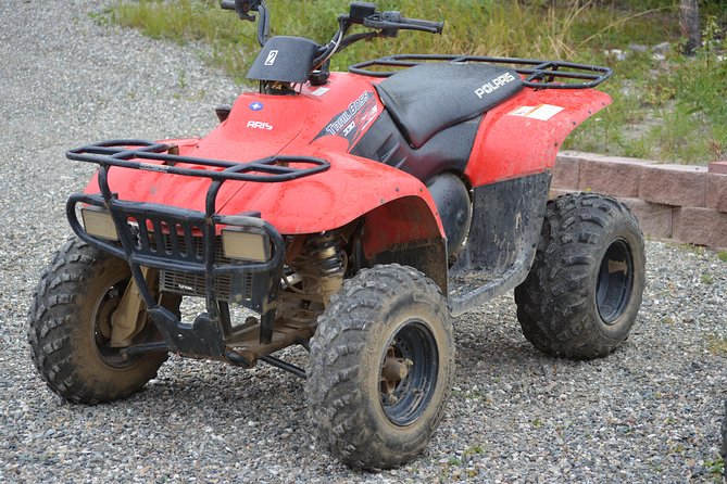 Wilds of Alaska Classic ATV Adventure - Wildlife Sightings