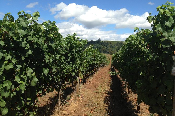 Willamette Valley Wine Tasting Tour From Portland - Exploring Willamette Valleys Wine Region