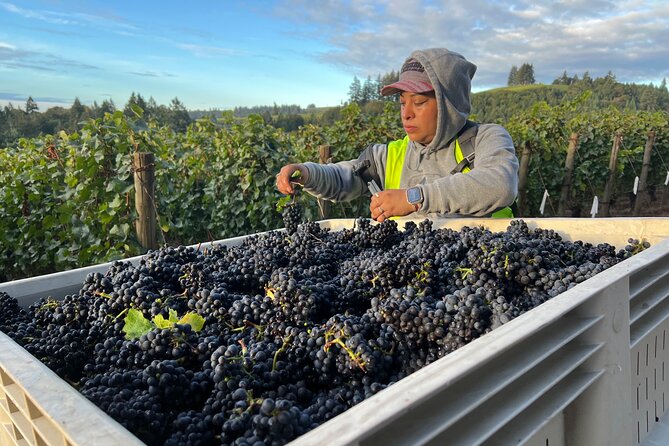 Willamette Wine Tour From Newberg (Tasting Fees Included) - Customer Feedback