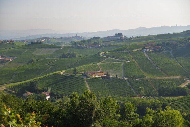 Wine & Chocolate Tour and Tasting in Alba Area - Pricing and Cancellation