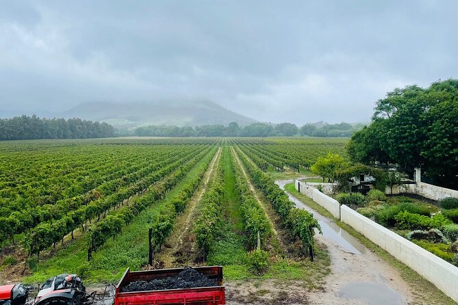 Wine Tasting in Cape Winelands Tour - Inclusions and Exclusions