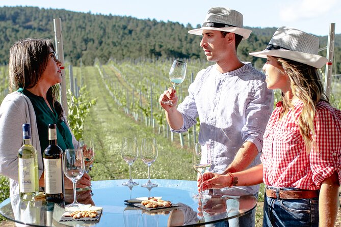 Wine Tourism Experience in Good Company in Terras Gauda O Rosal - Pricing and Booking Options