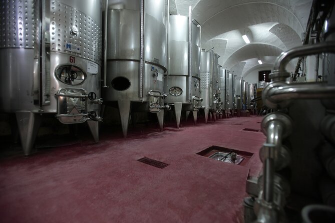 Winery Tour and Tasting in Salento - Scenic Views of the Vineyards