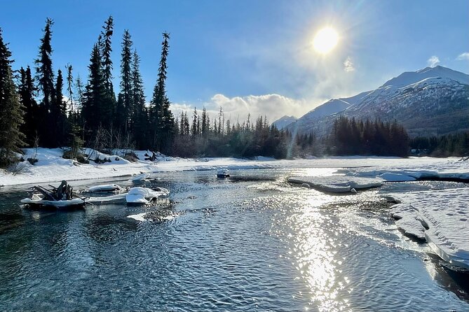 Winter Valley and Forest Hike