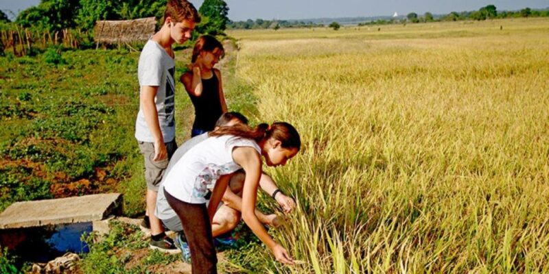 Yala: Village Expedition Tour by Tuk-Tuk! - Pricing and Duration