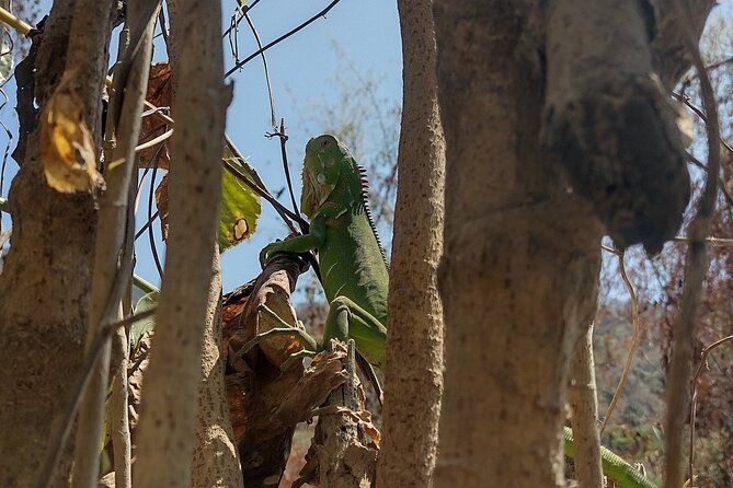 Yelapa Escape - Recommended Activities in Yelapa