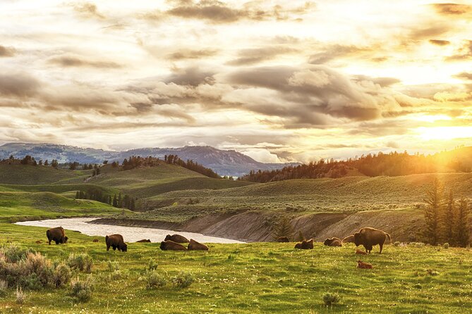 Yellowstone Private Full Day Tour - What to Bring