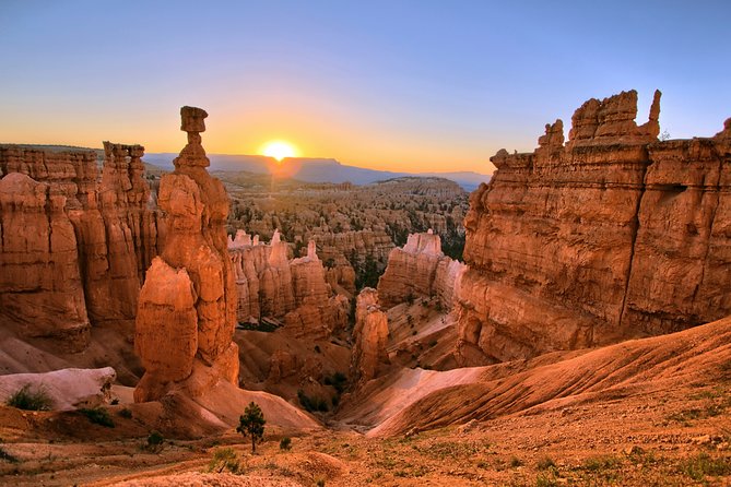 Yellowstone Rocky Mountain Explorer: A Review - Dietary Accommodations