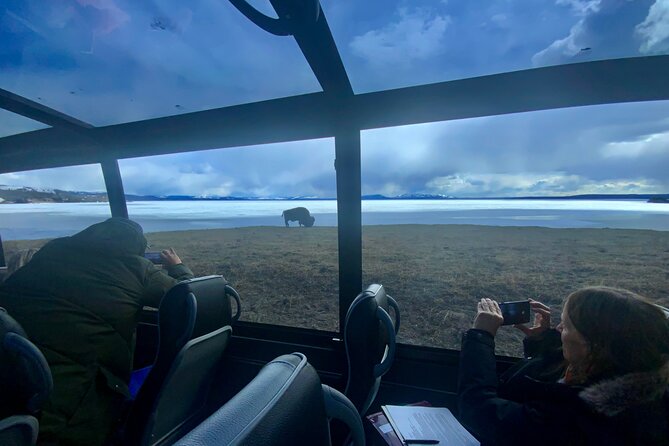 Yellowstone"Open Air" Glass Top Convertible Van West Yellowstone - Guest Feedback and Reviews